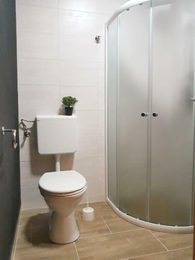 Villa Mihaela - Apartment Ika Cesarica Esterno foto